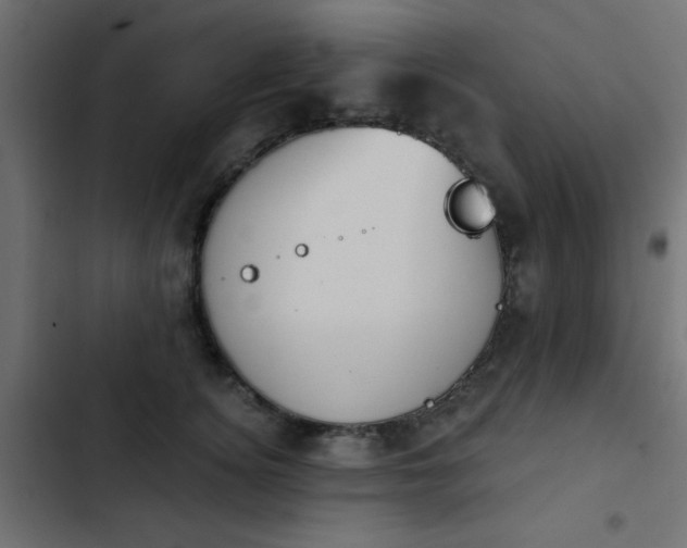 X0000103950756200809261748