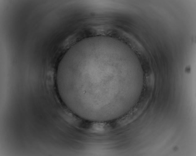 X0000103950757200809261748