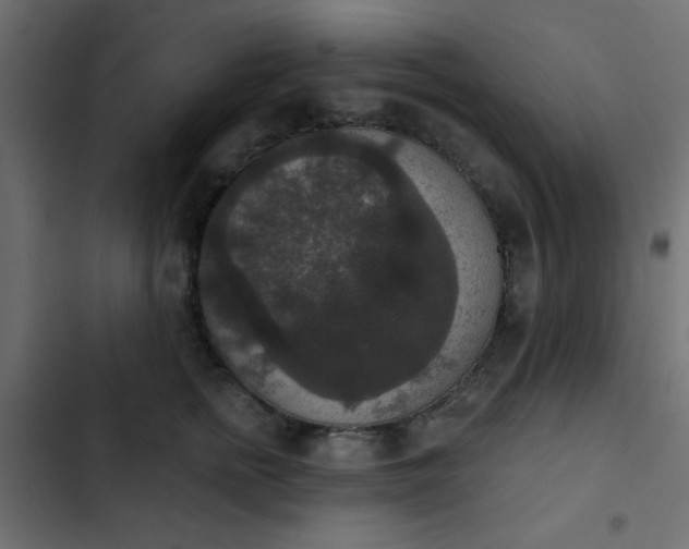 X0000103950758200809261748