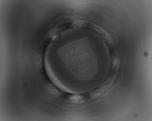 X0000103950759200809261748