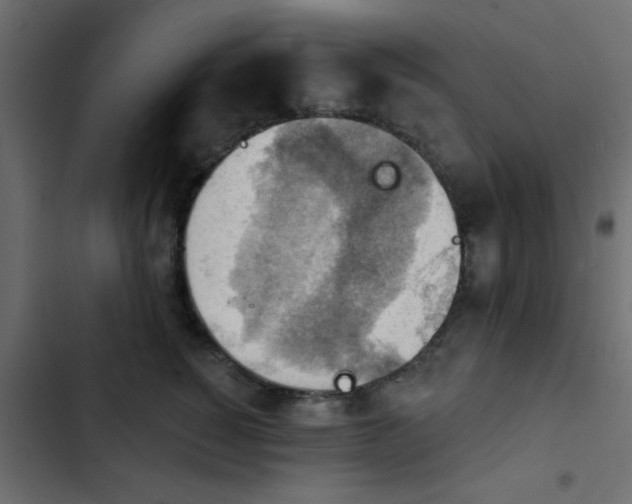 X0000103950760200809261748