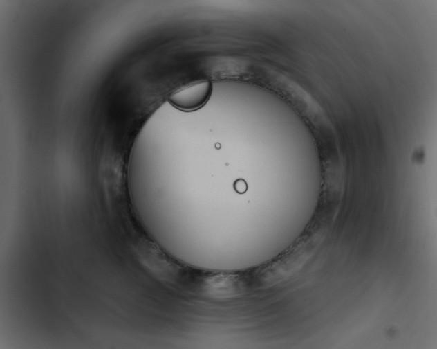 X0000103950761200809261748