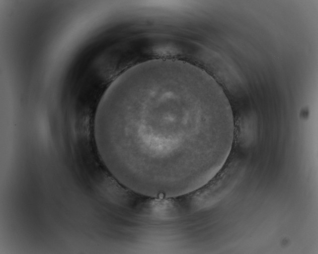 X0000103950762200809261748