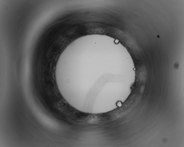 X0000103950764200809261748