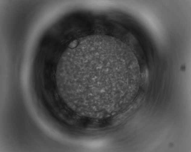 X0000103950765200809261748