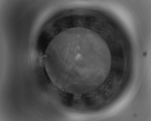 X0000103950766200809261748