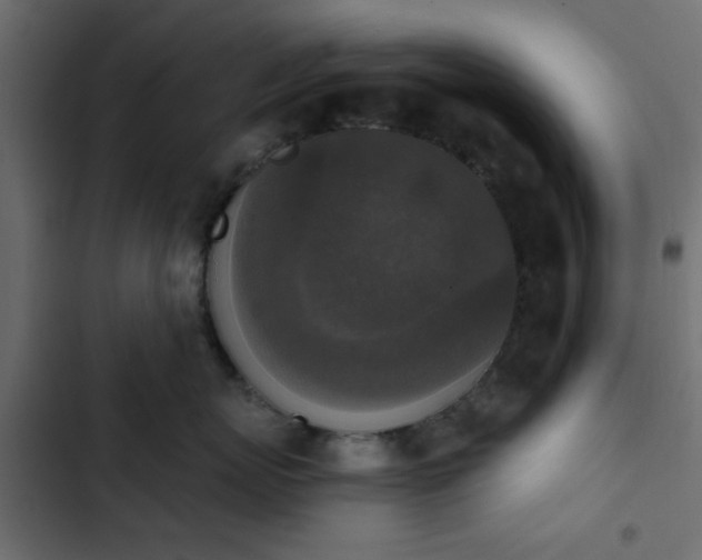 X0000103950767200809261748