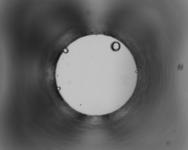 X0000103950768200809261748