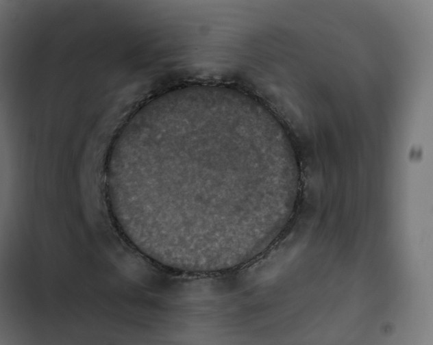 X0000103950769200809261747