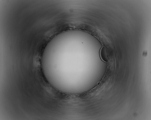 X0000103950770200809261747