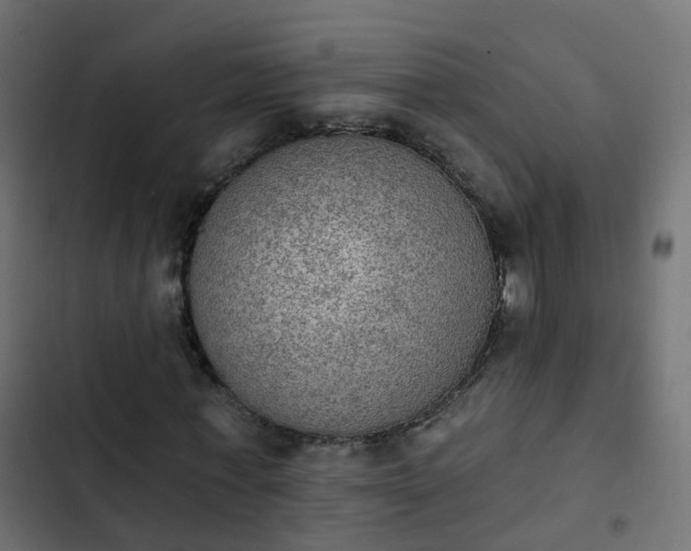 X0000103950771200809261747