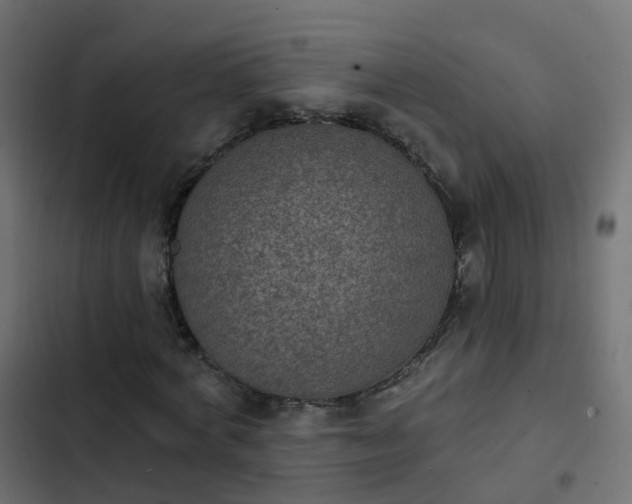 X0000103950772200809261747