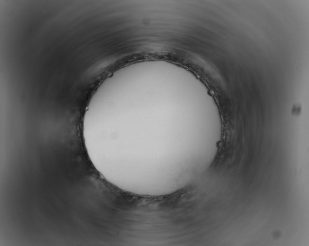 X0000103950773200809261747