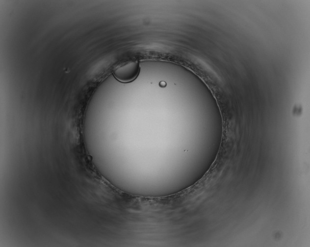 X0000103950774200809261747