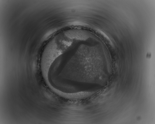 X0000103950775200809261747