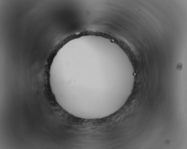 X0000103950776200809261747