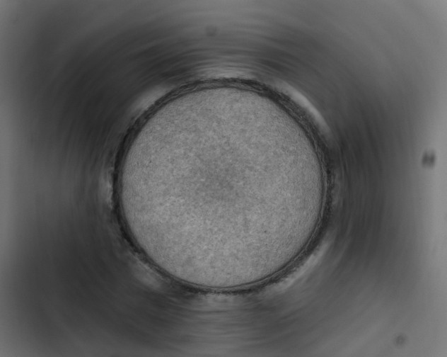 X0000103950777200809261747