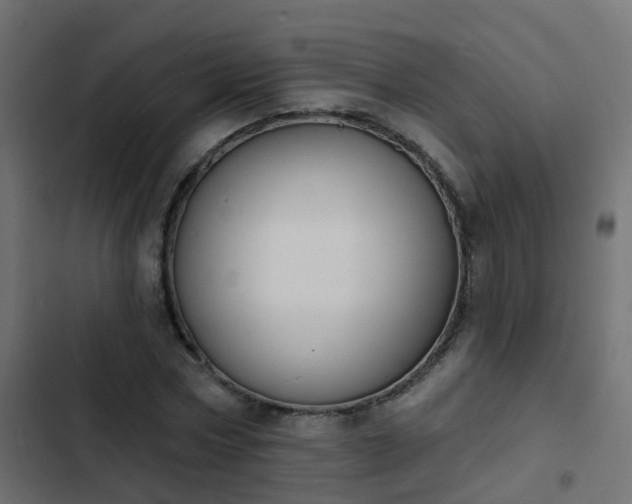 X0000103950778200809261747