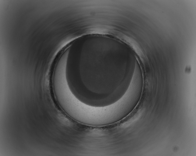 X0000103950779200809261747