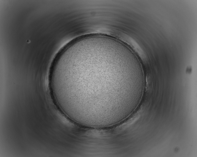 X0000103950780200809261747