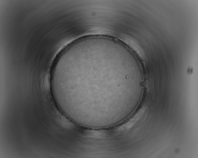 X0000103950781200809261747