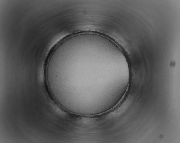 X0000103950782200809261747