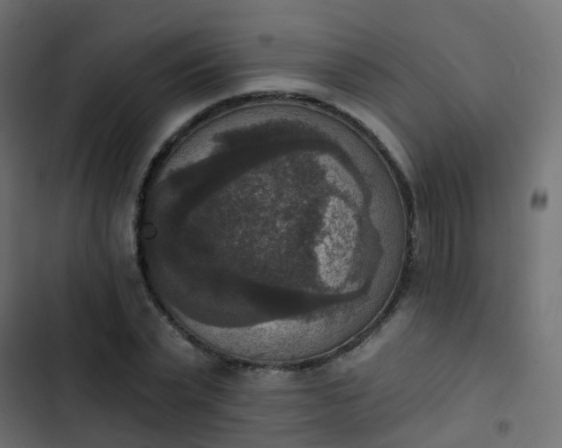 X0000103950783200809261747