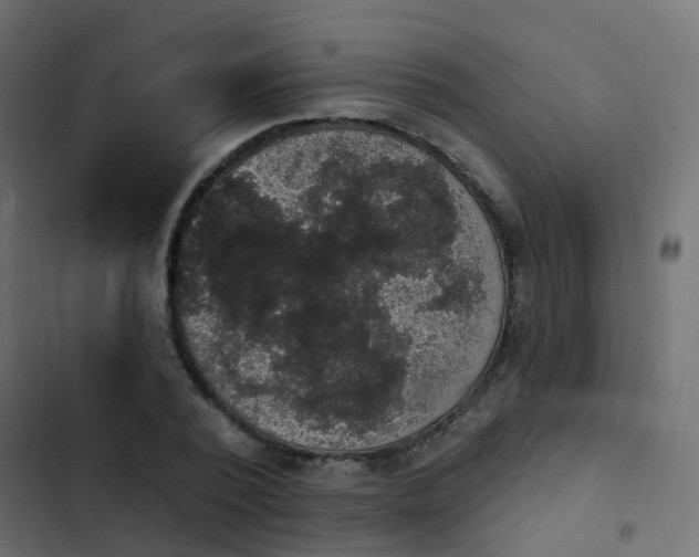 X0000103950784200809261747