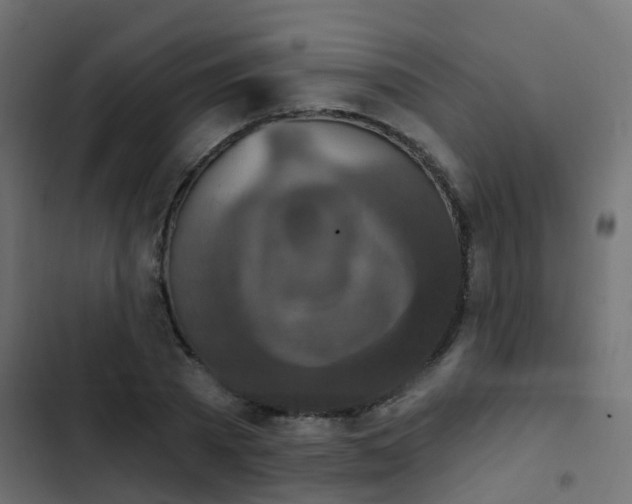 X0000103950785200809261747