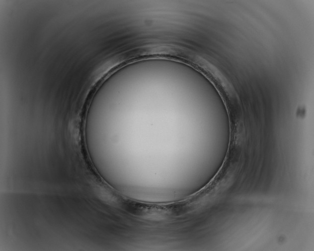 X0000103950786200809261747