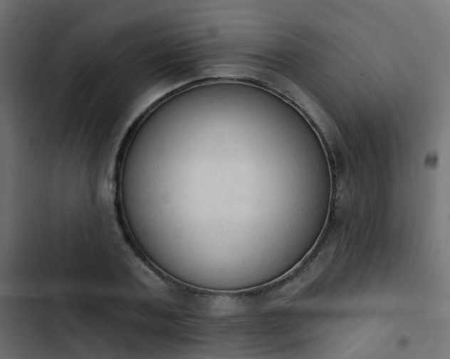 X0000103950787200809261747