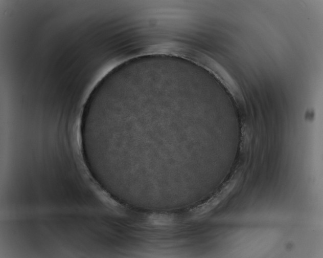 X0000103950788200809261747