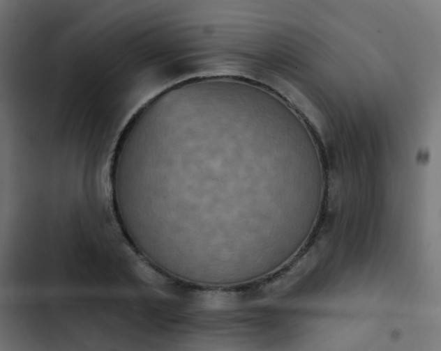 X0000103950789200809261747