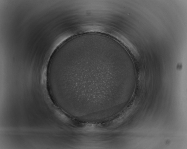 X0000103950790200809261747