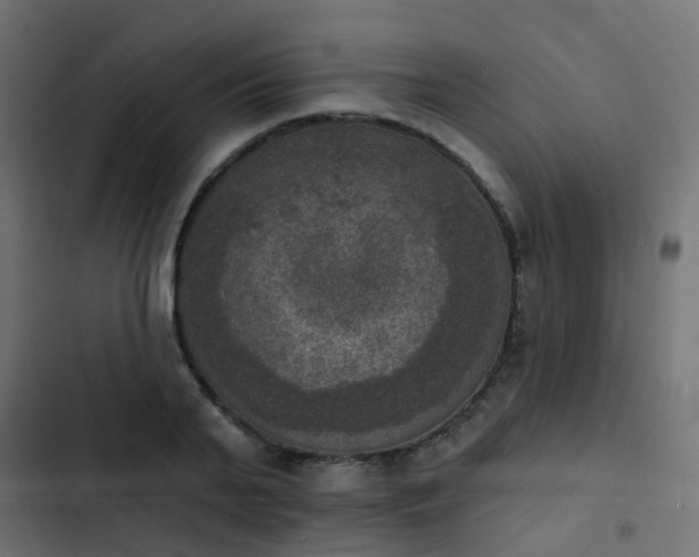 X0000103950791200809261747