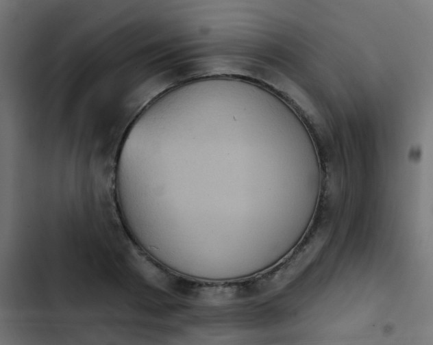 X0000103950793200809261747