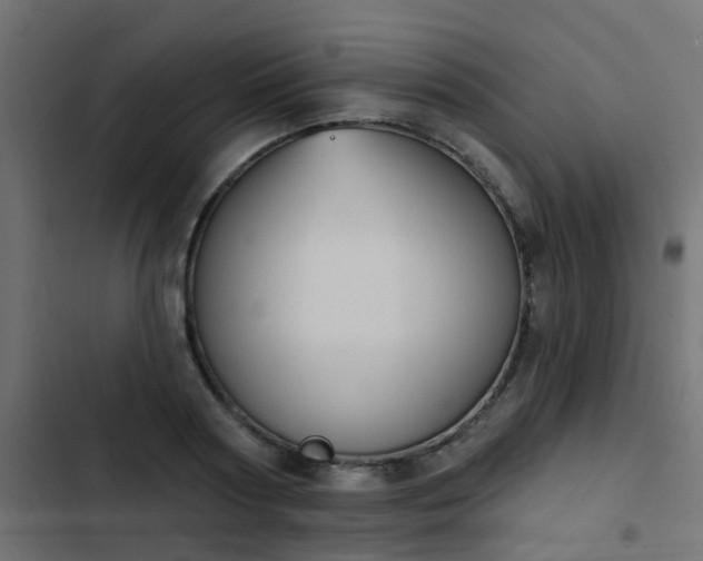 X0000103950794200809261747