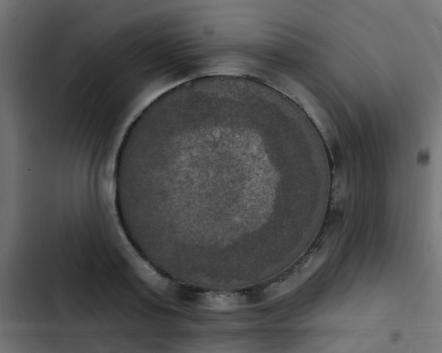 X0000103950795200809261747