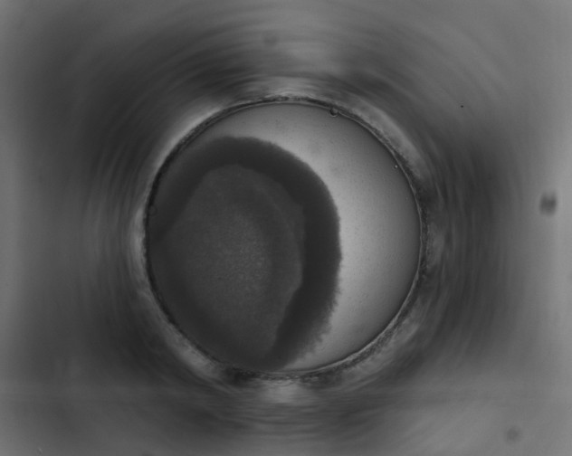 X0000103950798200809261747