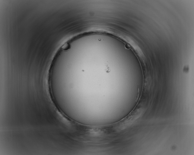 X0000103950799200809261747