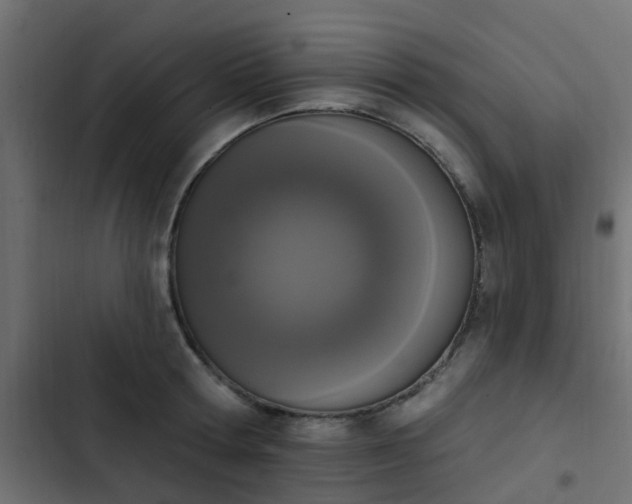 X0000103950802200809261747