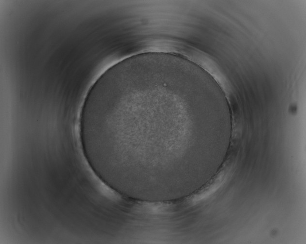 X0000103950803200809261747