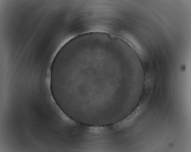 X0000103950804200809261747