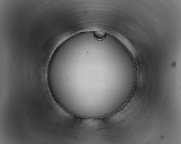 X0000103950805200809261747