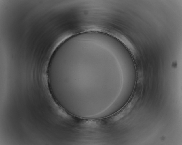 X0000103950806200809261747