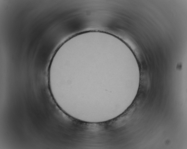 X0000103950807200809261747