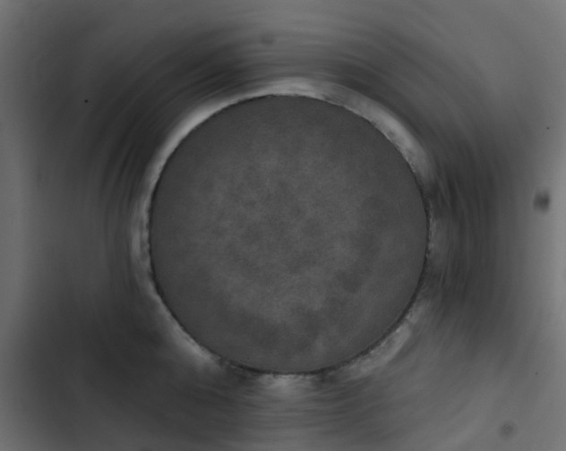 X0000103950808200809261747