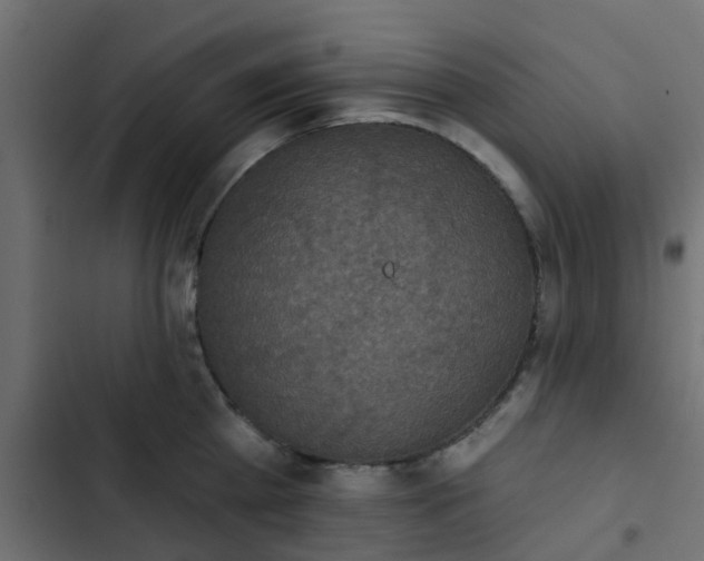 X0000103950809200809261747