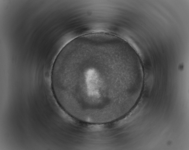 X0000103950810200809261747