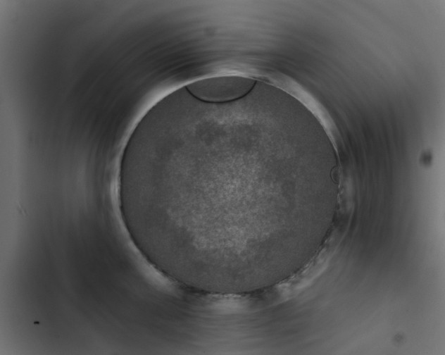 X0000103950811200809261747